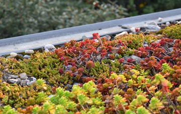 the cost of Handcross green roof installation